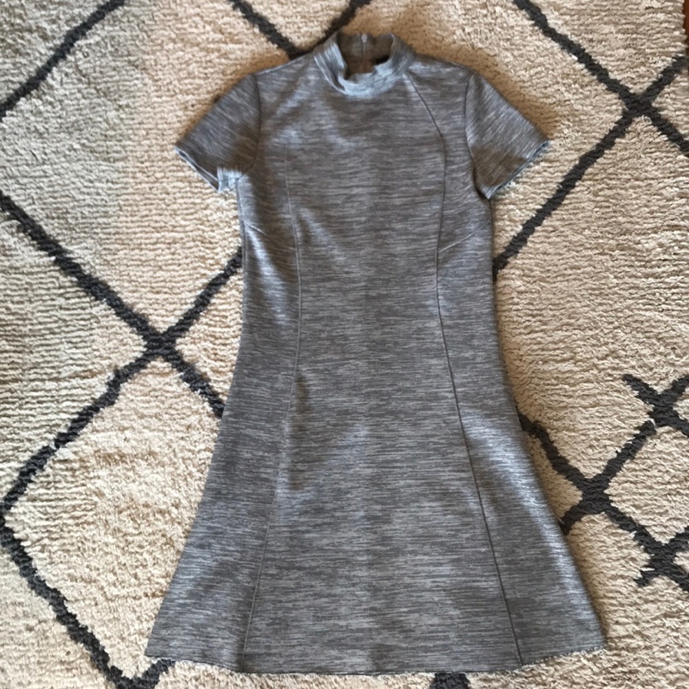 Zara Grey Sleek Sheath Skater Dress